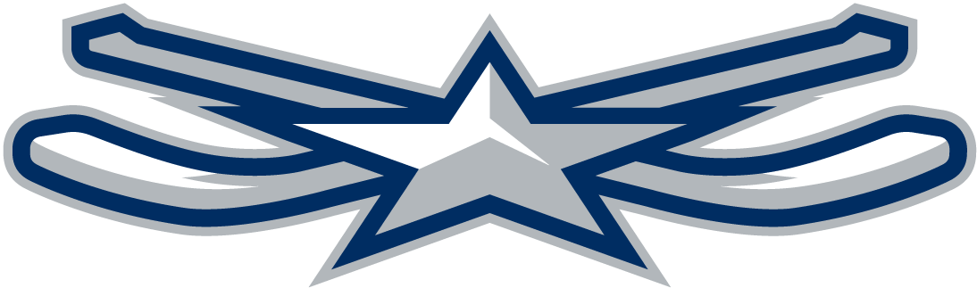 NHL All-Star Game 2015 Alternate Logo DIY iron on transfer (heat transfer)